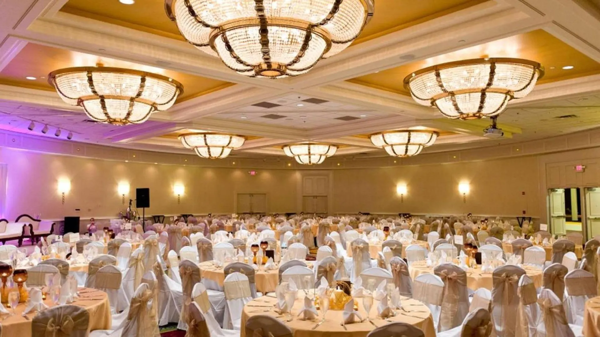 Отель Tampa Airport Marriott США